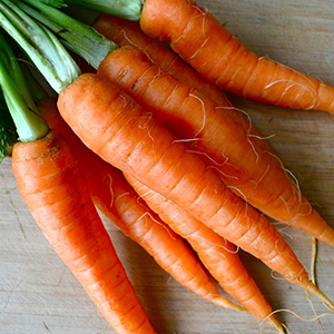 Ящики для моркови
